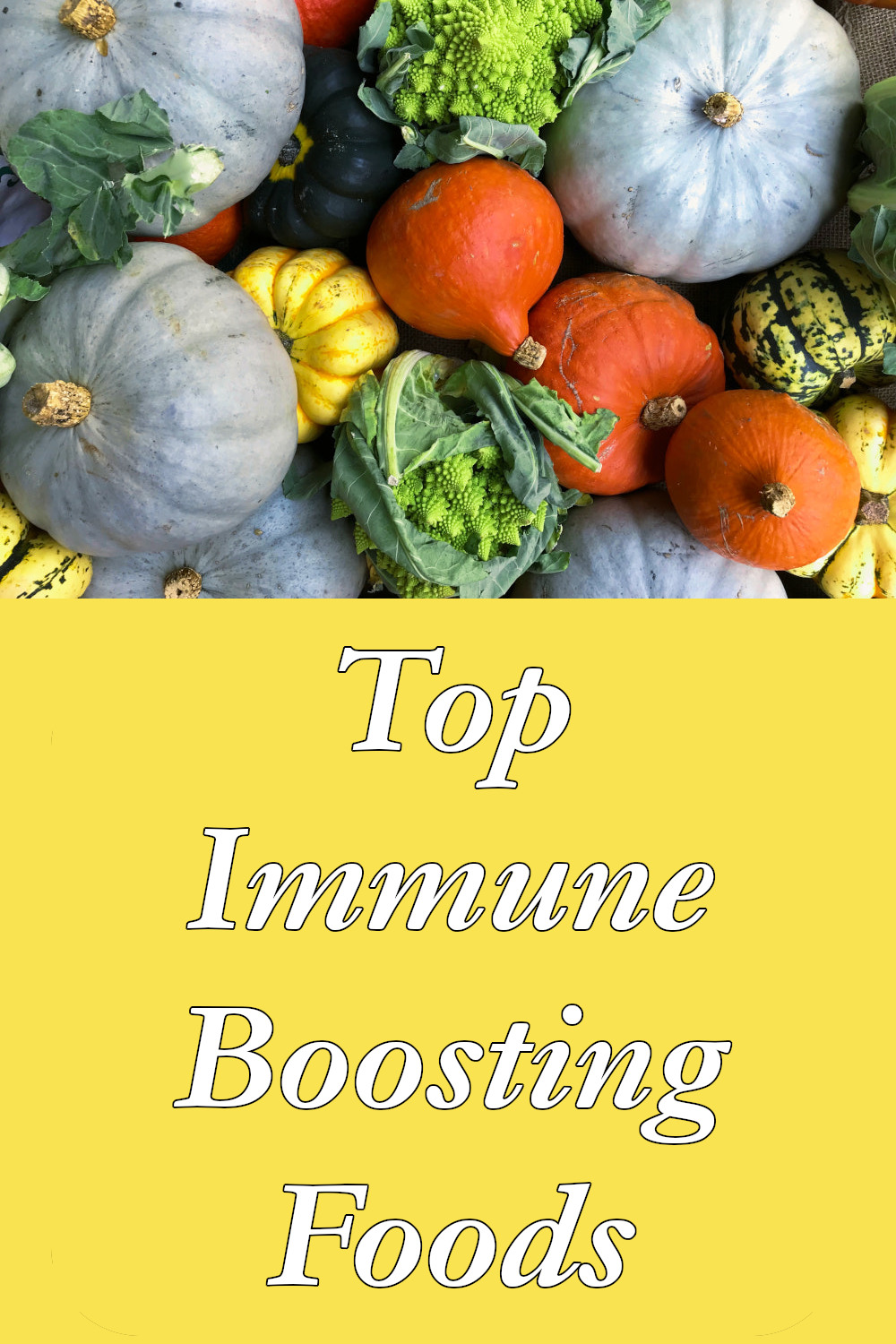 Top Immune Boosting Foods
